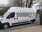 Waggies Dog Groomers Waggies Dog Groomers